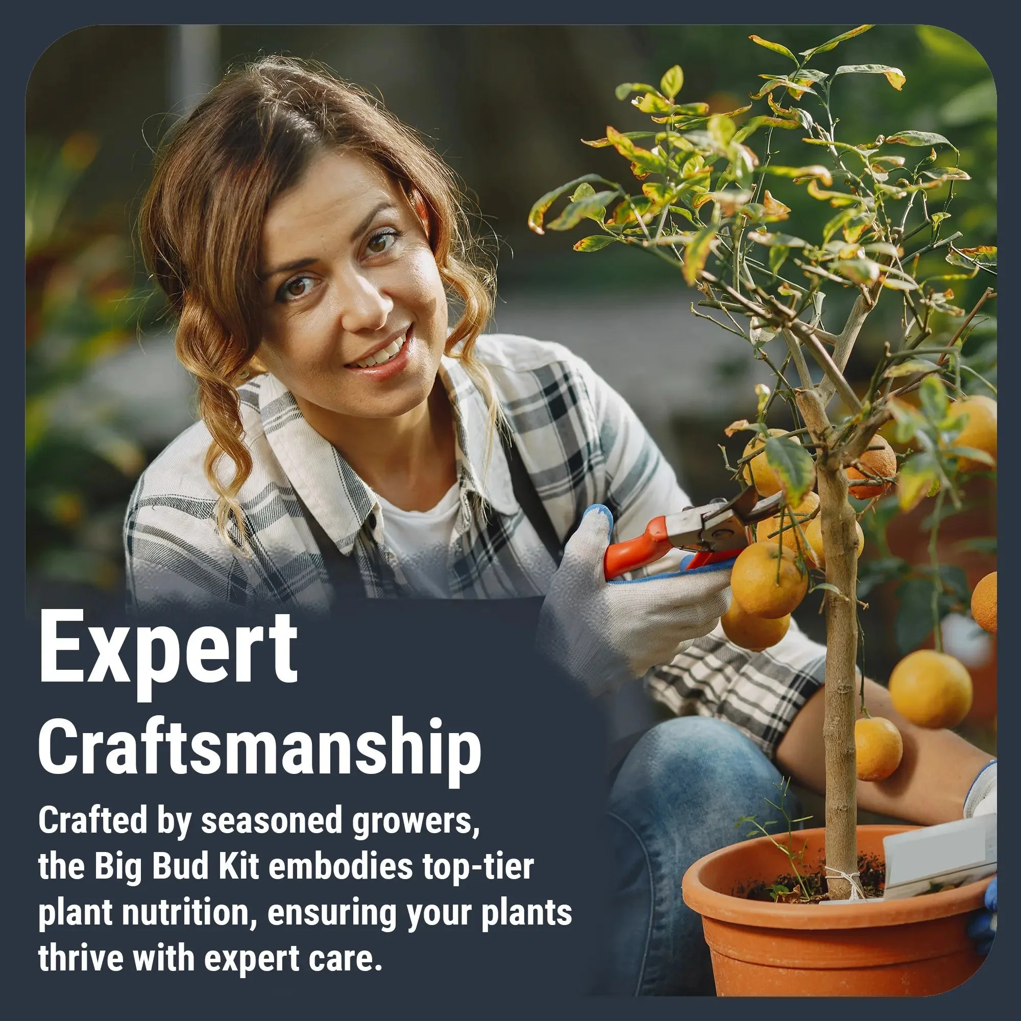 Cronk Nutrients Big Bud Kit Complete Plant Nutrient Solution - Micro, Grow, Bloom, CalMag, and Bud Booster - Image 6