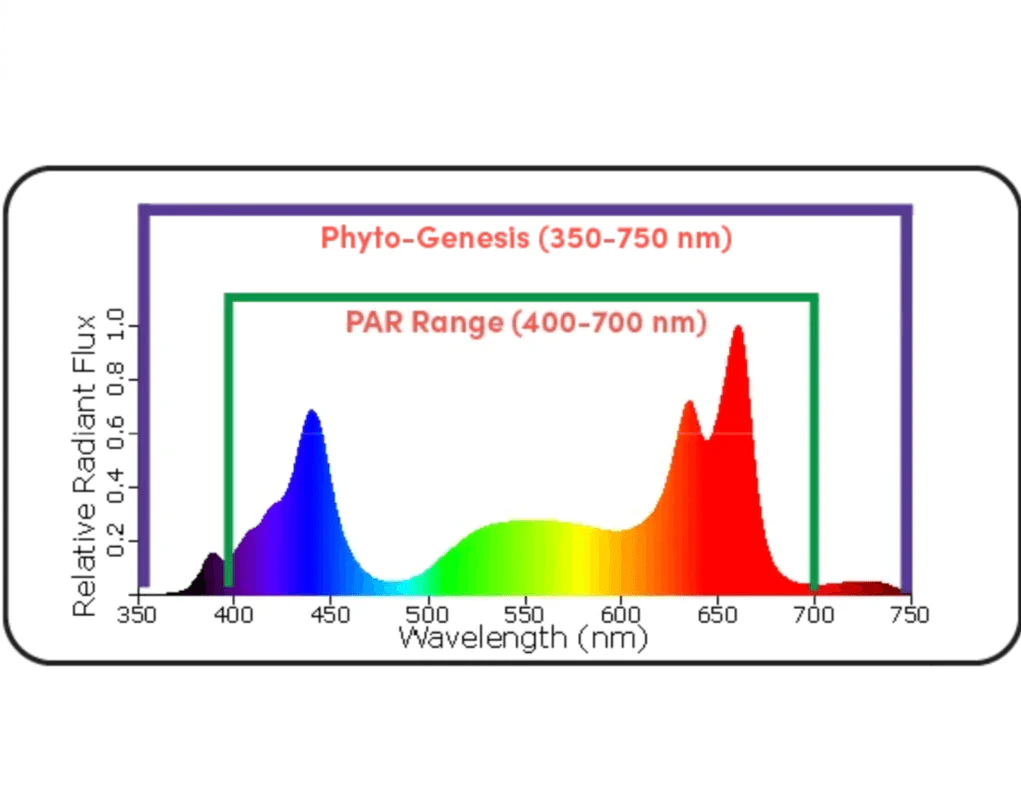 Black Dog Led PhytoMAX-3 12SP 600 Watt Grow Light - Image 5