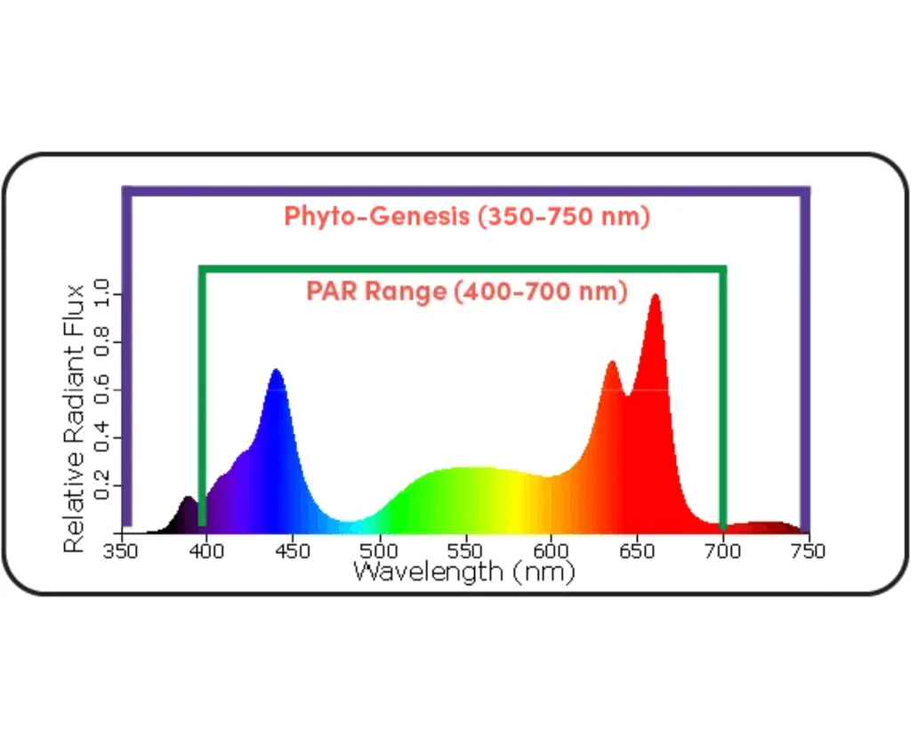 Black Dog Led PhytoMAX-3 20SH 1000 Watt Grow Light - Image 5