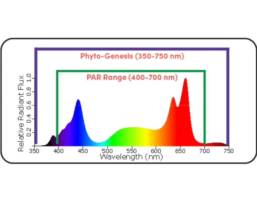 Black Dog Led PhytoMAX-3 20SP 1000 Watt Grow Light - Image 6