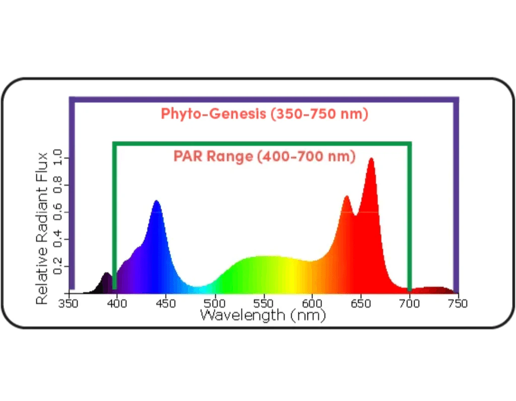 Black Dog Led PhytoMAX-3 4SH 200 Watt Grow Light - Image 4