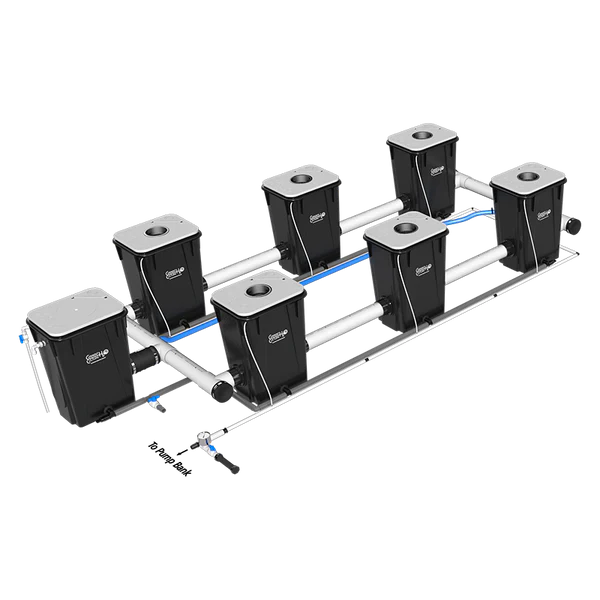 Current Culture H2O Under Current RDWC Hydroponic System - 13 Gallon, 40" Spacing - Image 11