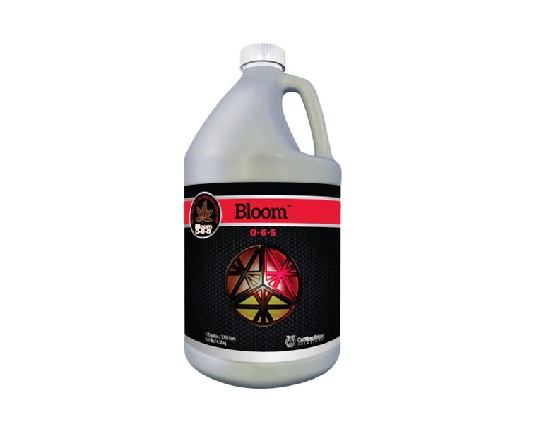 Cutting Edge Solutions Bloom - Image 2