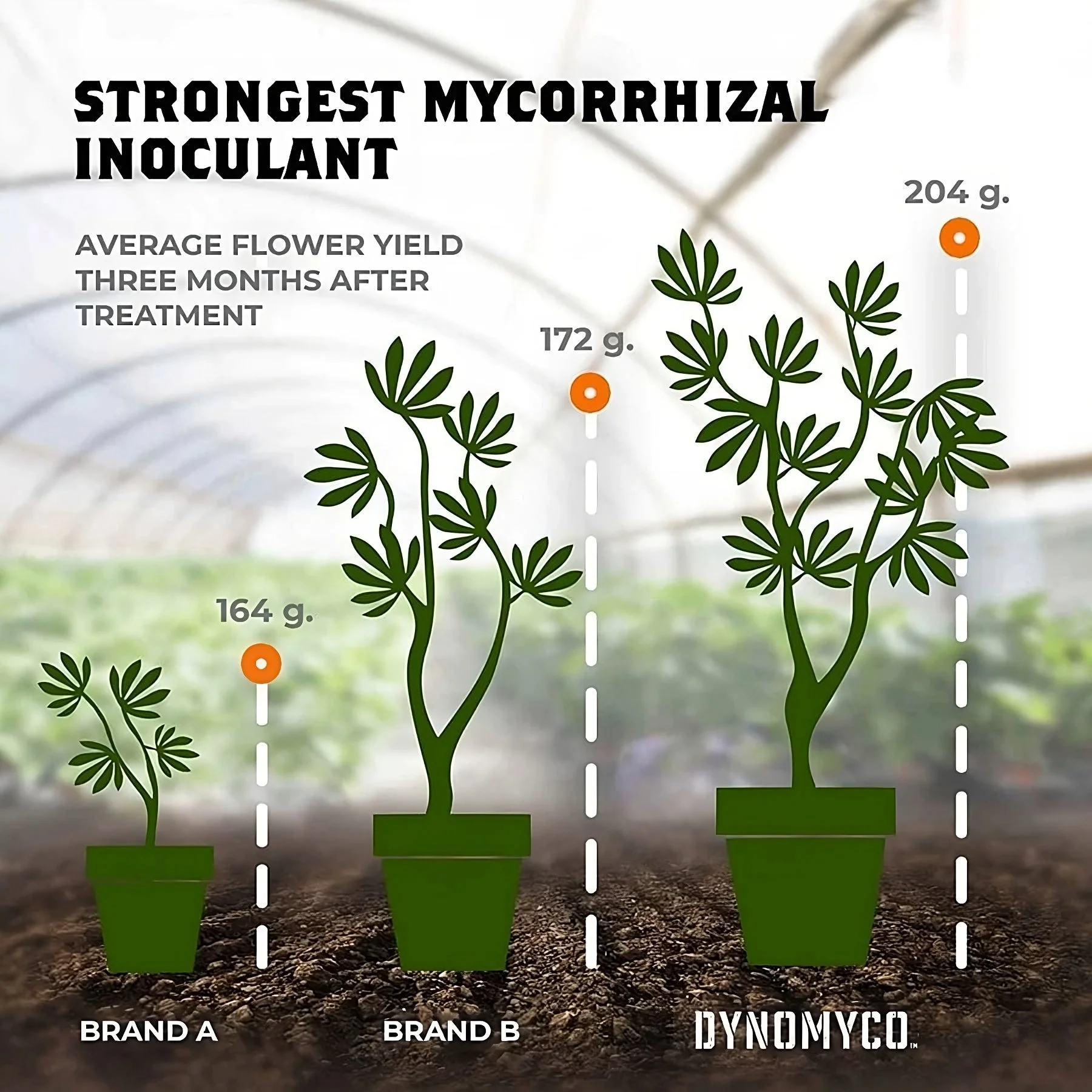 Dynomyco Mycorrhizal Inoculant Granules - Image 9