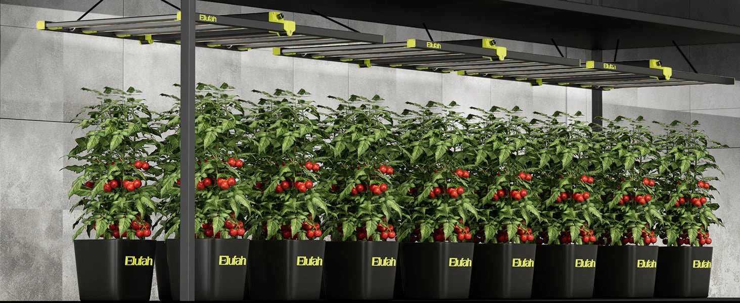 Elufah NHI3200-24 320 Watt LED Grow Light 2x4 Commercial - Image 16