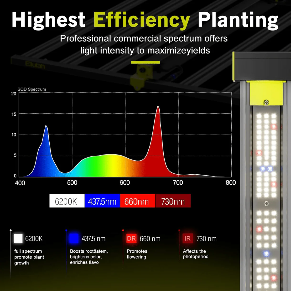 Elufah NHI6500 650 Watt LED Grow Light 4x4 Commercial - Image 8