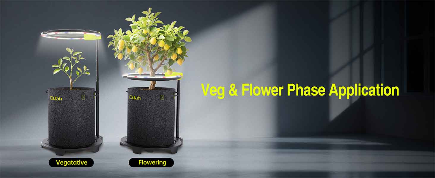 Elufah Saturn240 24 Watt Under Canopy LED Grow Light | 1 Ring Light - Image 16