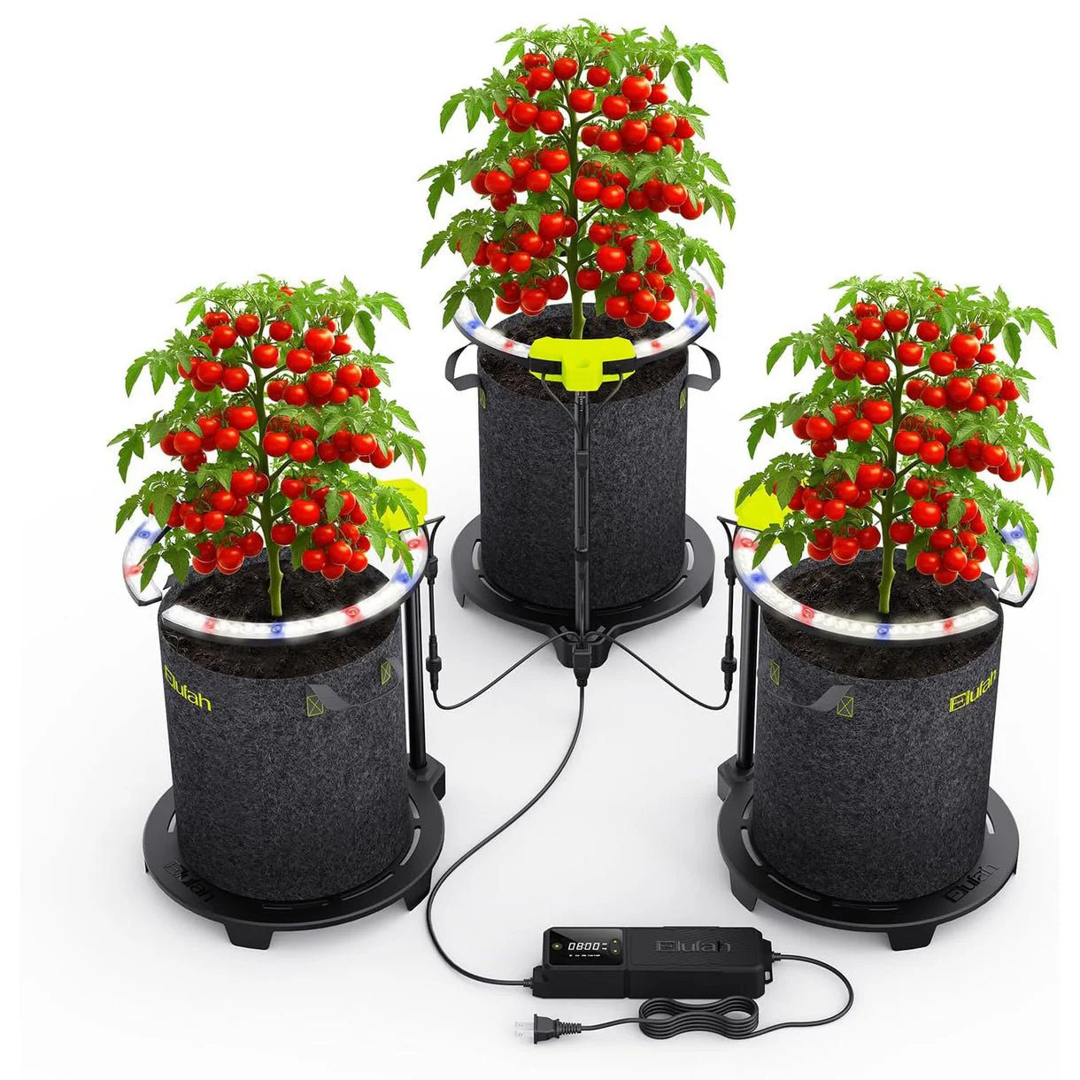 Elufah Saturn720 72 Watt Under Canopy LED Grow Light | 3 Ring Lights