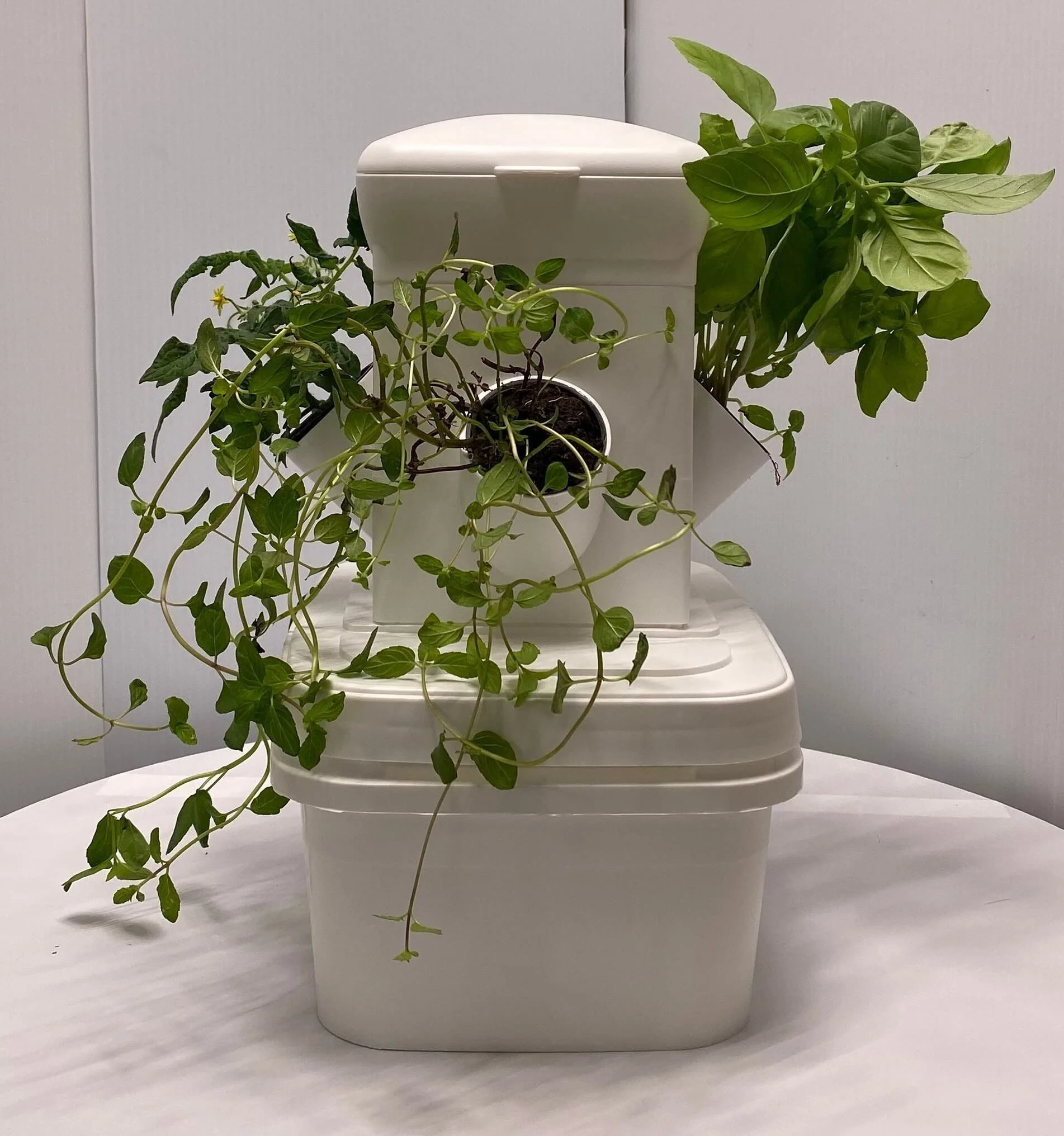 Exotower Mini Hydroponic Garden Tower - Image 2