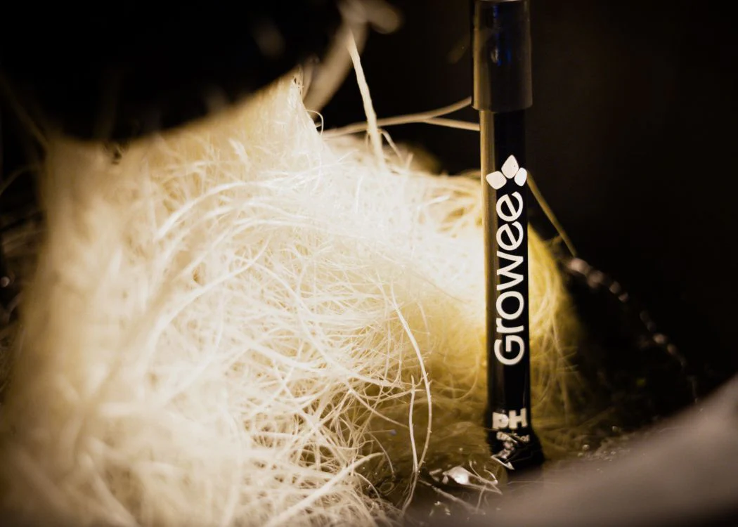 Growee pH probe - Image 2
