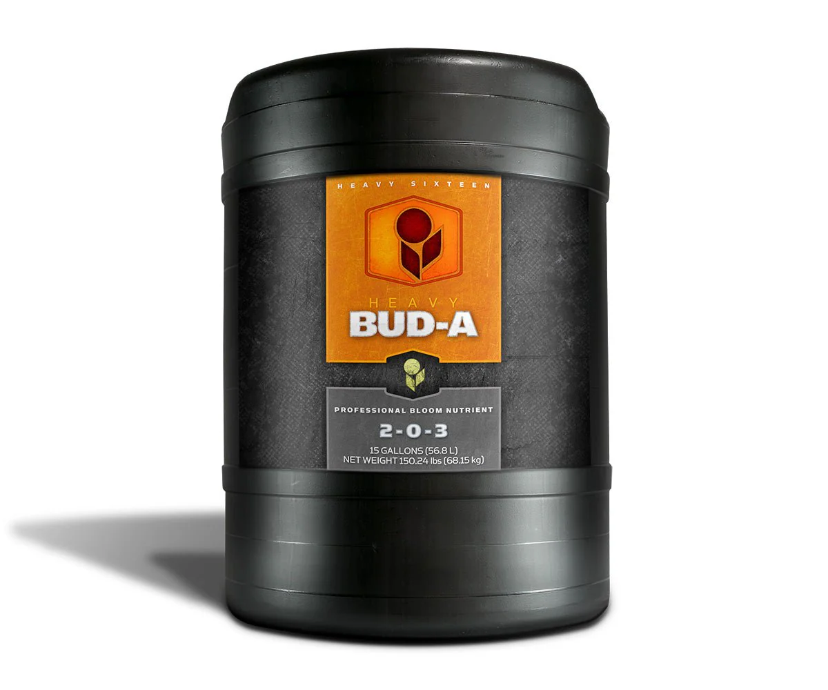 HEAVY 16 Bud A - Image 5