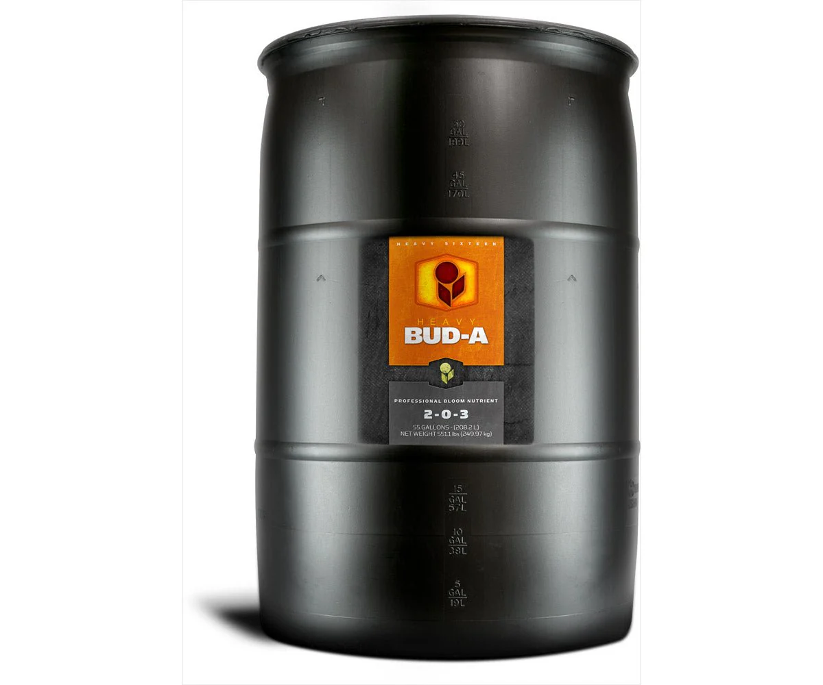 HEAVY 16 Bud A - Image 6