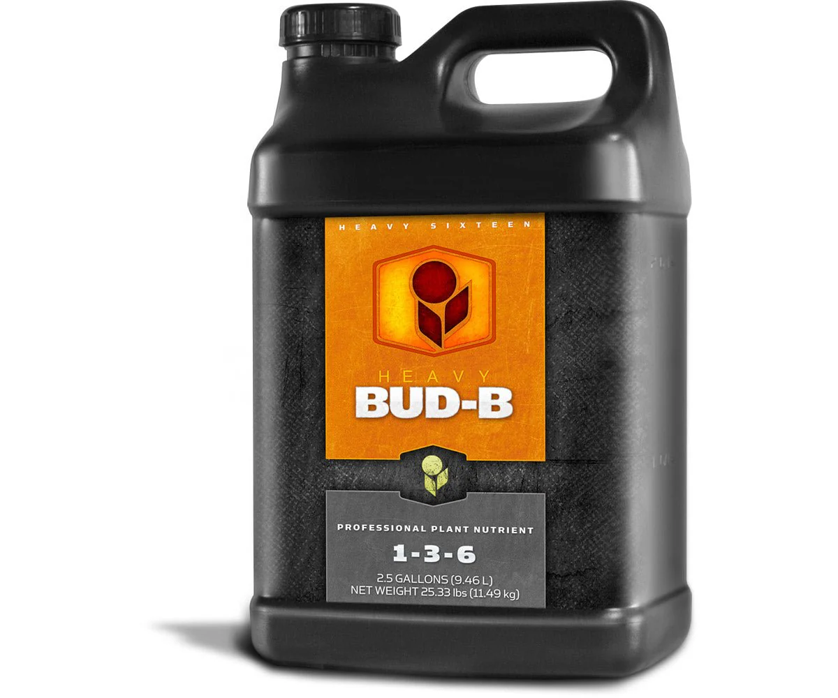 HEAVY 16 Bud B - Image 3