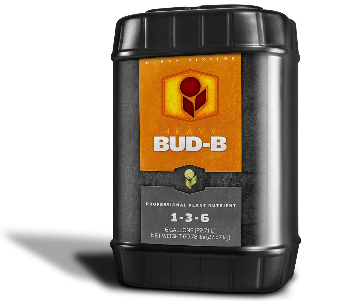 HEAVY 16 Bud B - Image 4