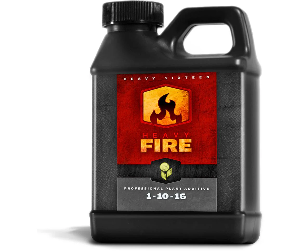 Heavy 16 Fire PK Bloom Booster