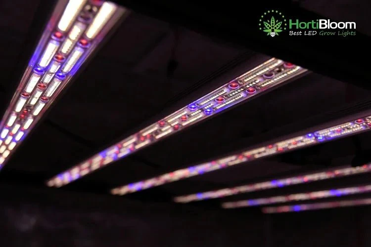HortiBloom Mega Optic 1000 Watt LED Grow Light - Image 6