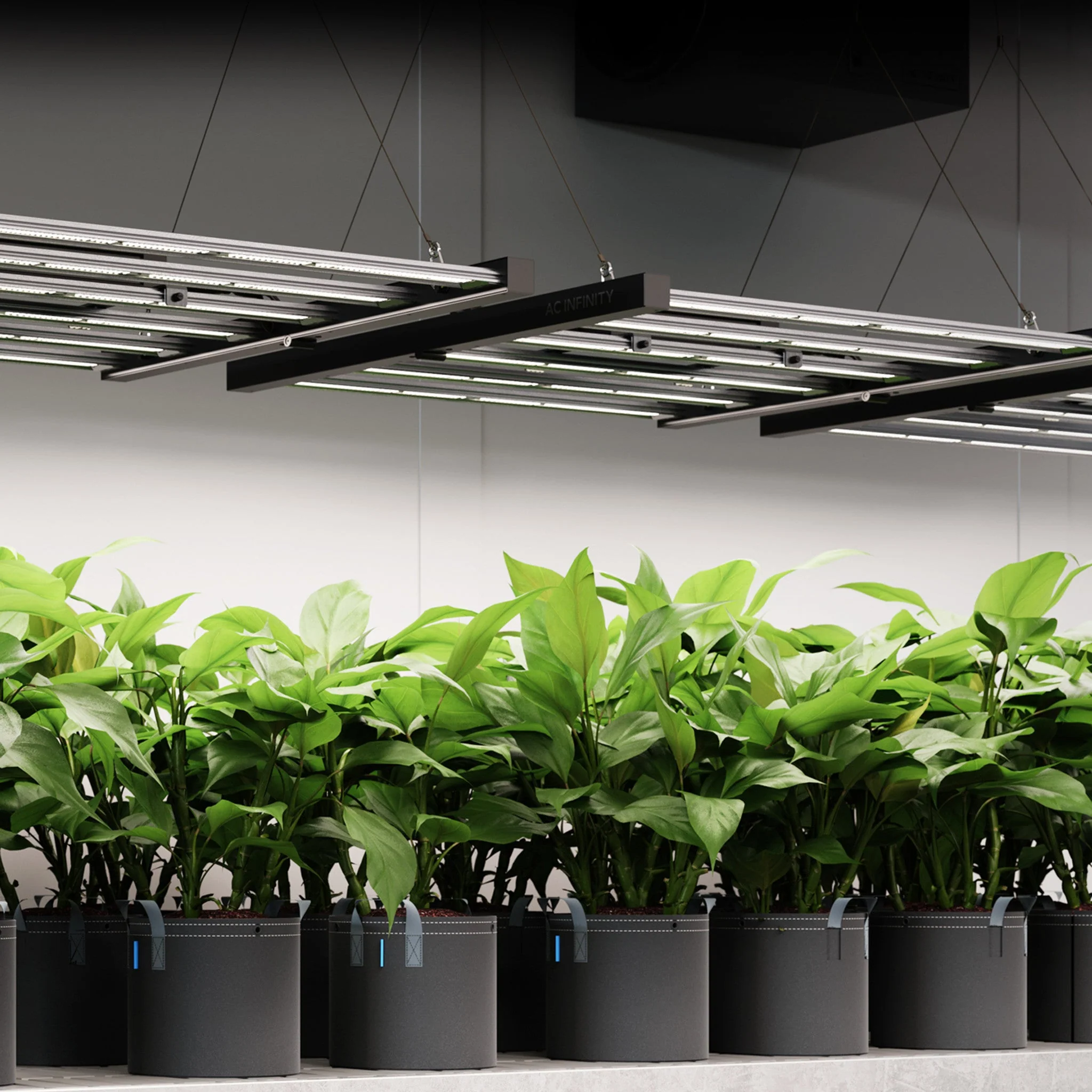 AC Infinity Ionframe EVO 4 Commercial 300 Watt LED Grow Lights, 3X3 FT - Image 3