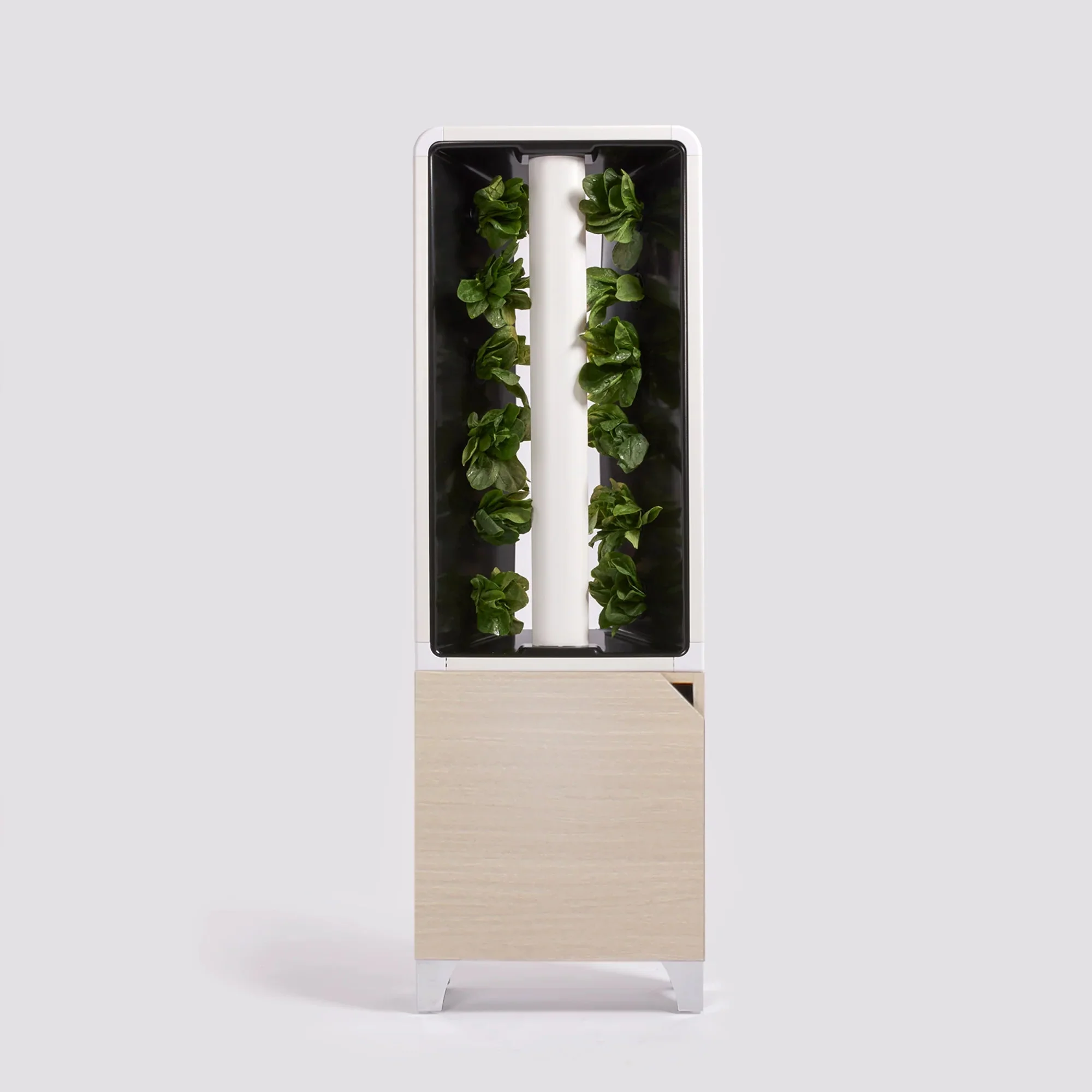 Just Vertical The EVE - Vertical Indoor Herb and Vegetable Garden - Image 6