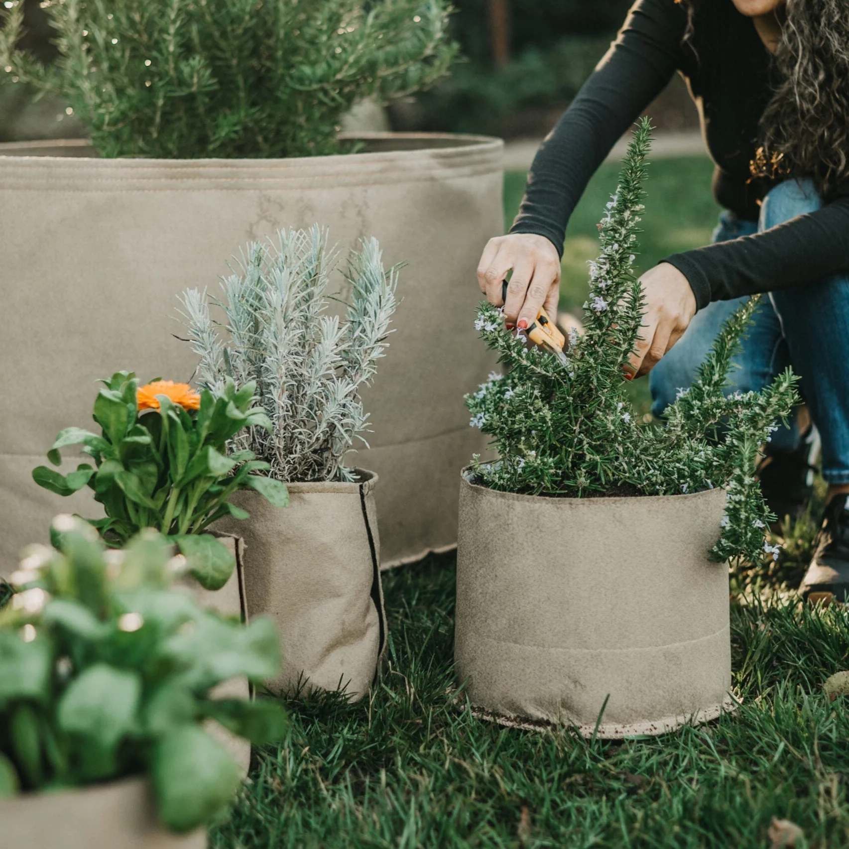 Living Soil Fabric Pot - Image 4