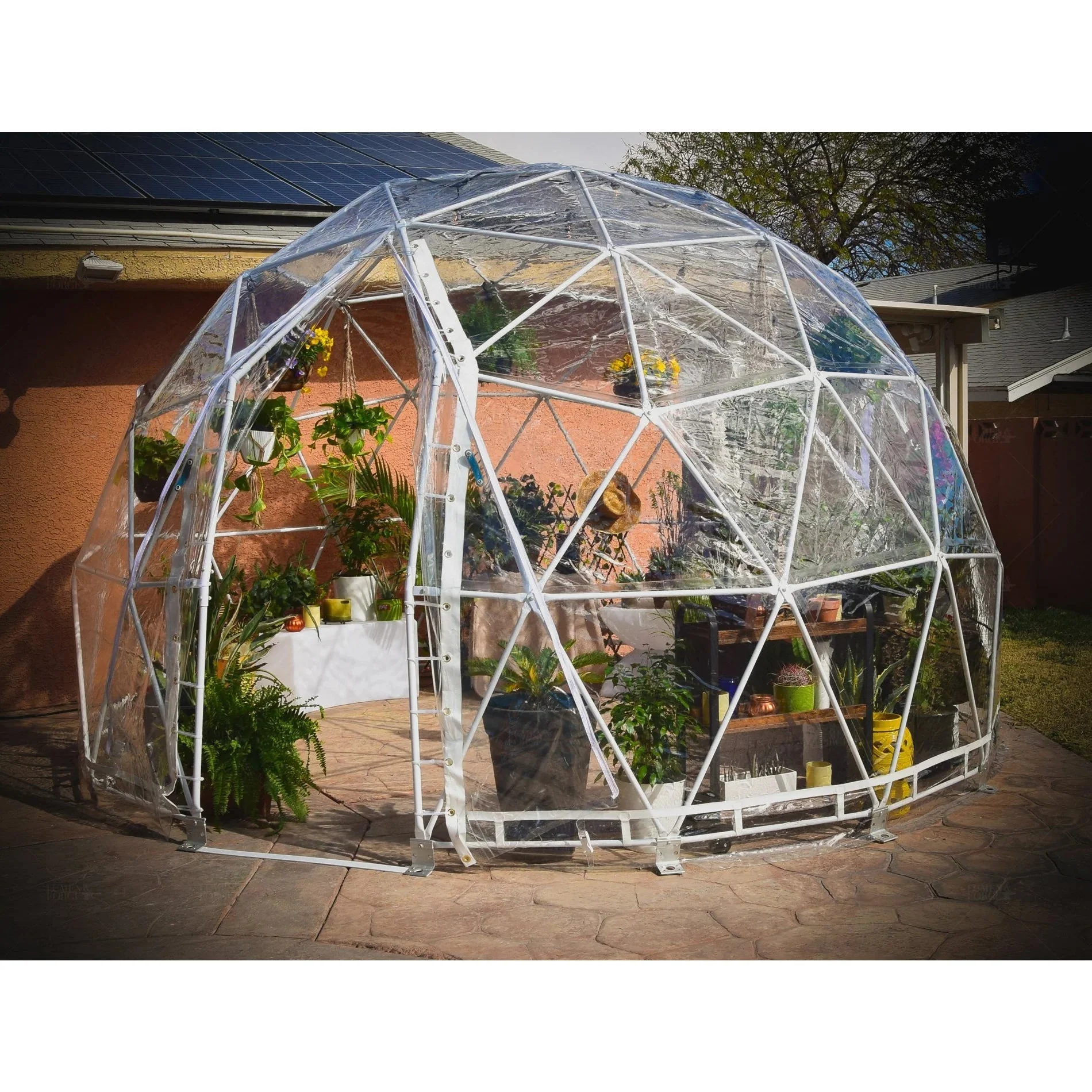 Lumen & Forge Geodesic Greenhouse Dome Kit - Image 5