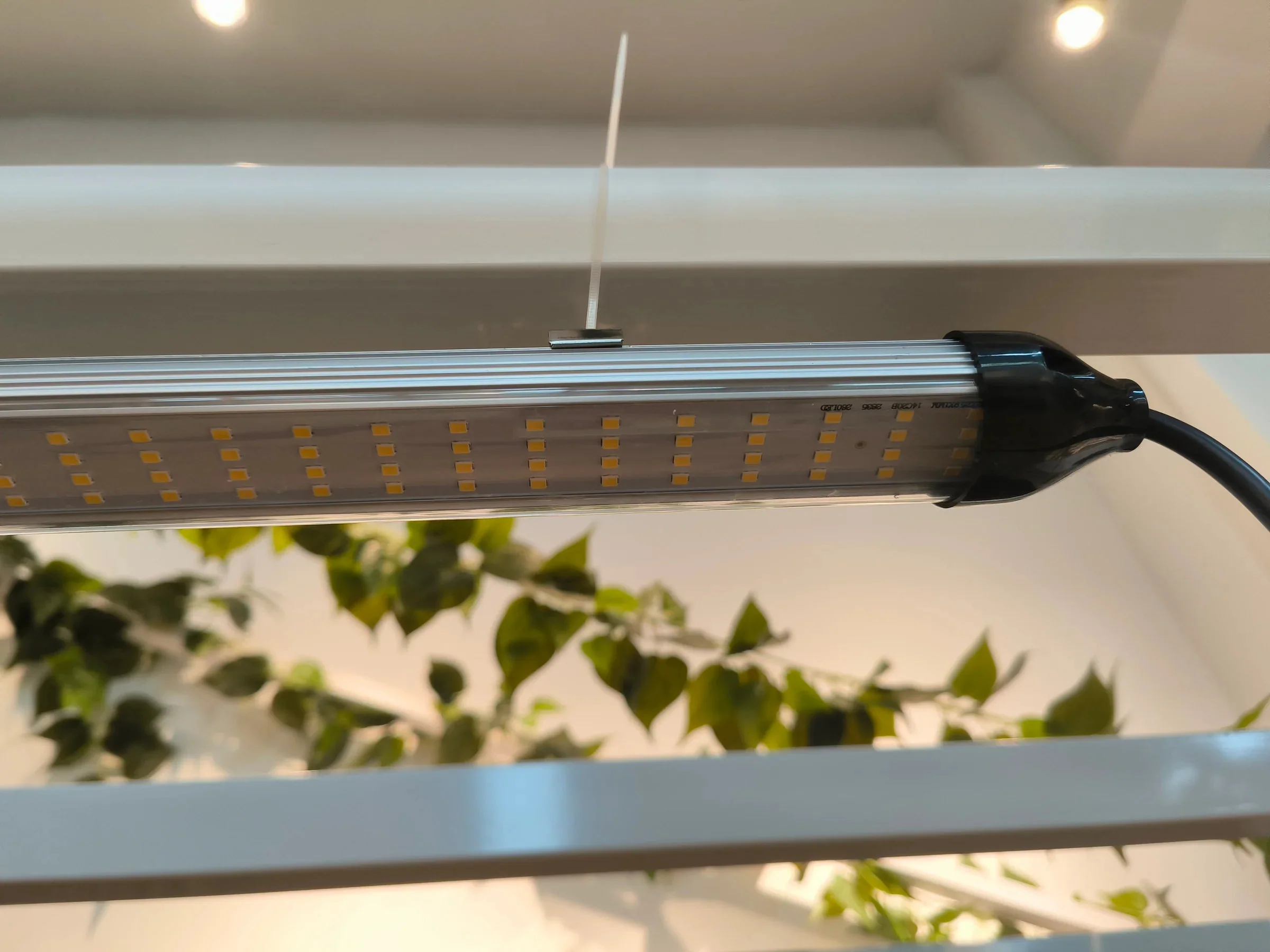 Mammoth Lighting Clone and Inter-canopy LED grow light bar (2 bars per box), 50w each - Image 11