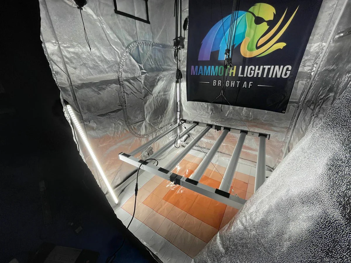 Mammoth Lighting Clone and Inter-canopy LED grow light bar (2 bars per box), 50w each - Image 12