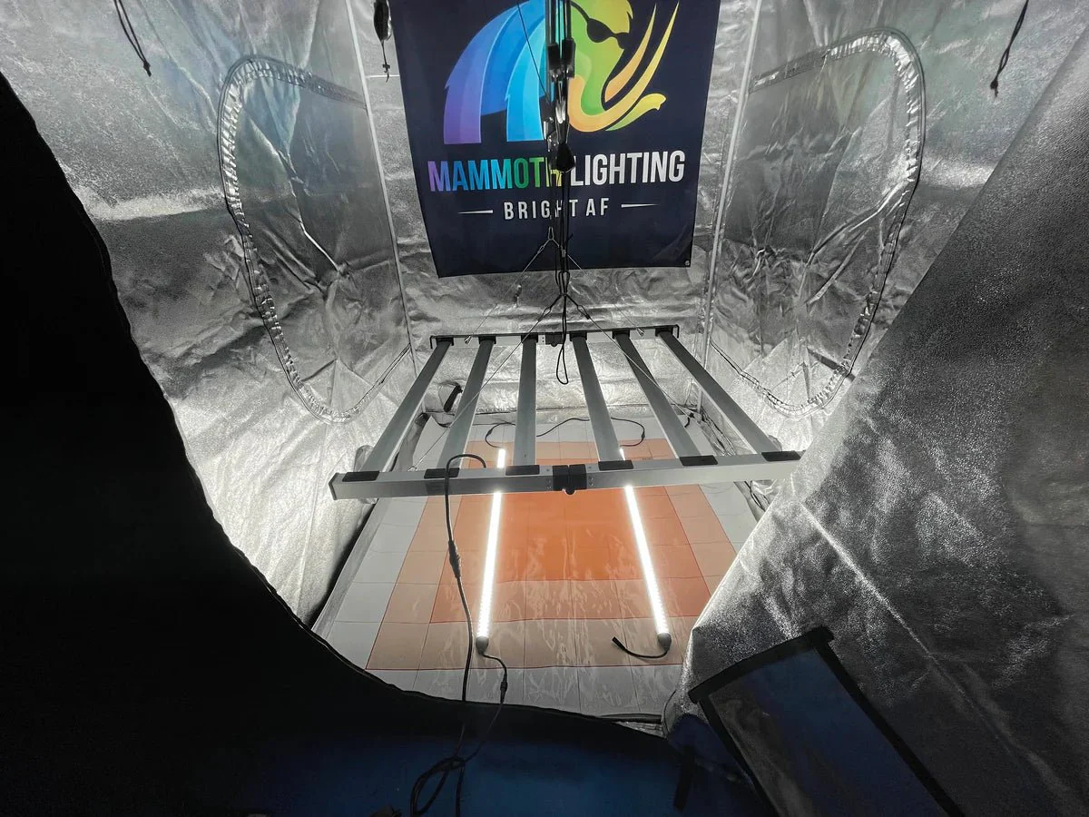 Mammoth Lighting Clone and Inter-canopy LED grow light bar (2 bars per box), 50w each - Image 13