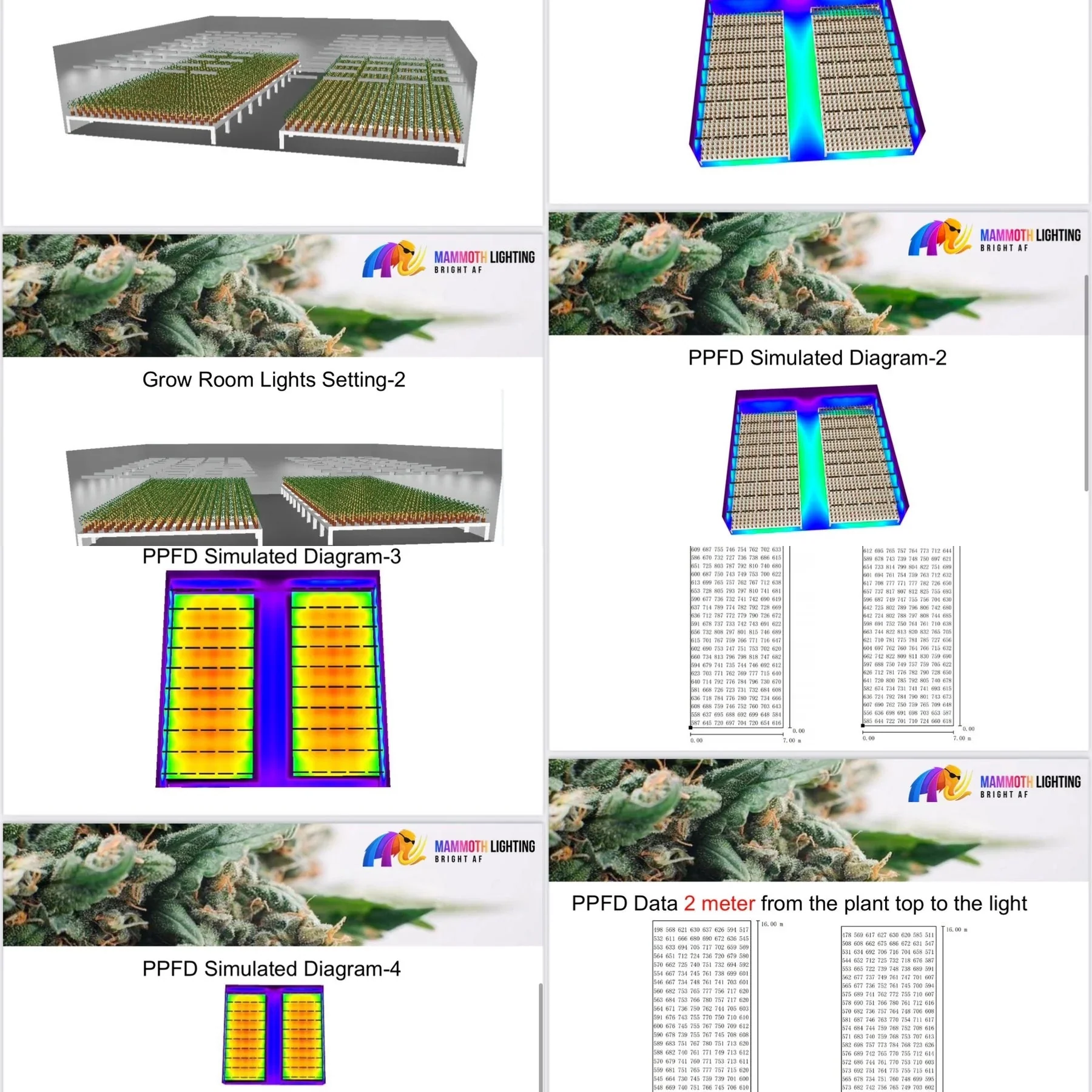 Mammoth Lighting - Greenhouse / Highbay LED - 720w - Image 6