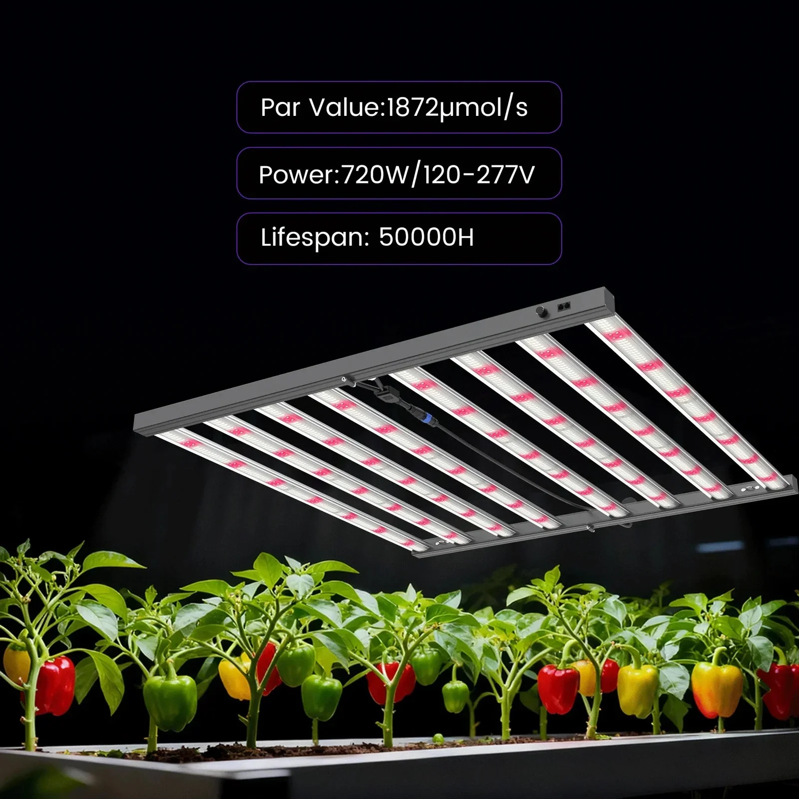 Medic Grow MEDIC BOX 07 720w 4x4 Grow Light Dimmable Full-Spectrum LED - Image 3