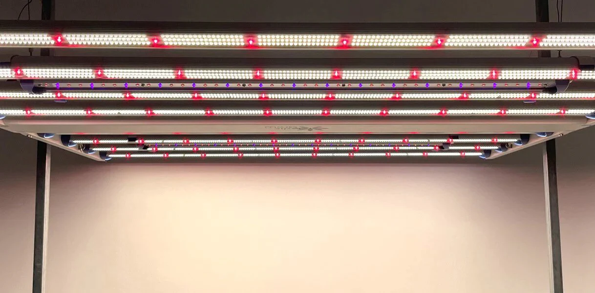 Medic Grow Spectrum X 880 Watt Full Spectrum LED Grow Lights - Image 10