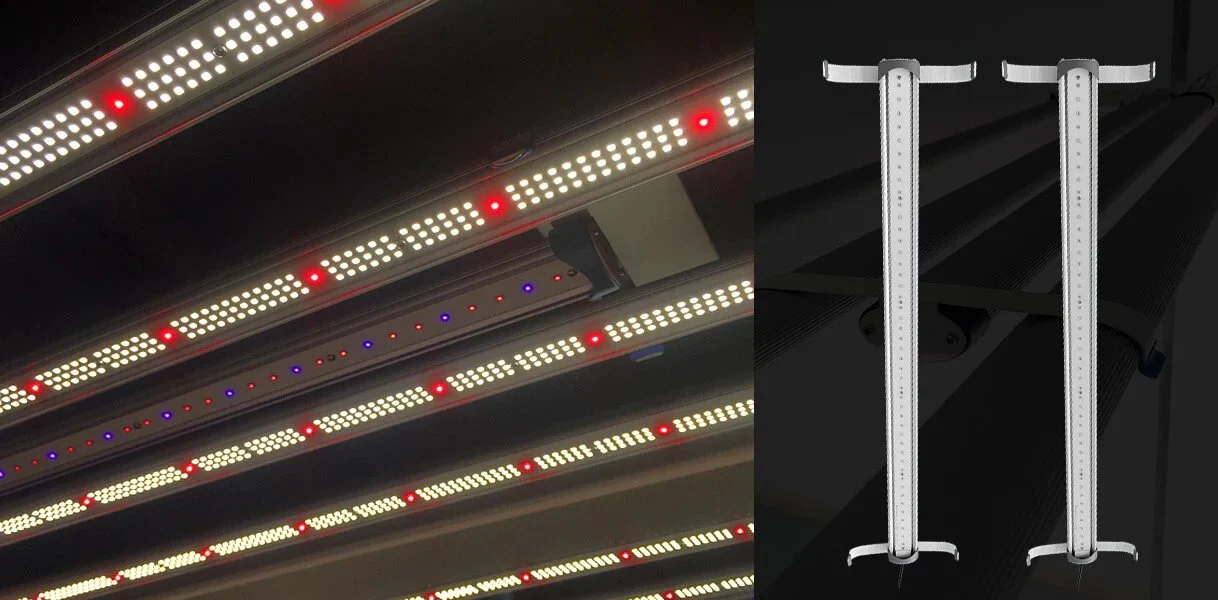 Medic Grow Spectrum X 880 Watt Full Spectrum LED Grow Lights - Image 12