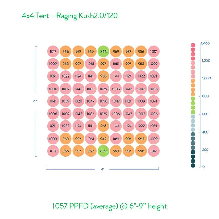 Scynce LED Raging Kush II (120°) 650 Watt Grow Light - Image 6