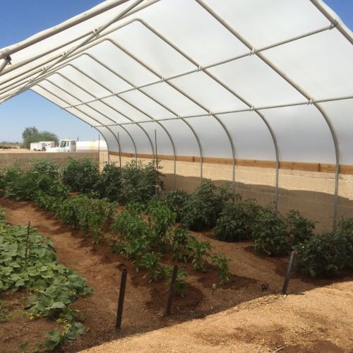 Solexx Pro Hybrid Double Wall Flexible Greenhouse Covering 5mm - Image 4