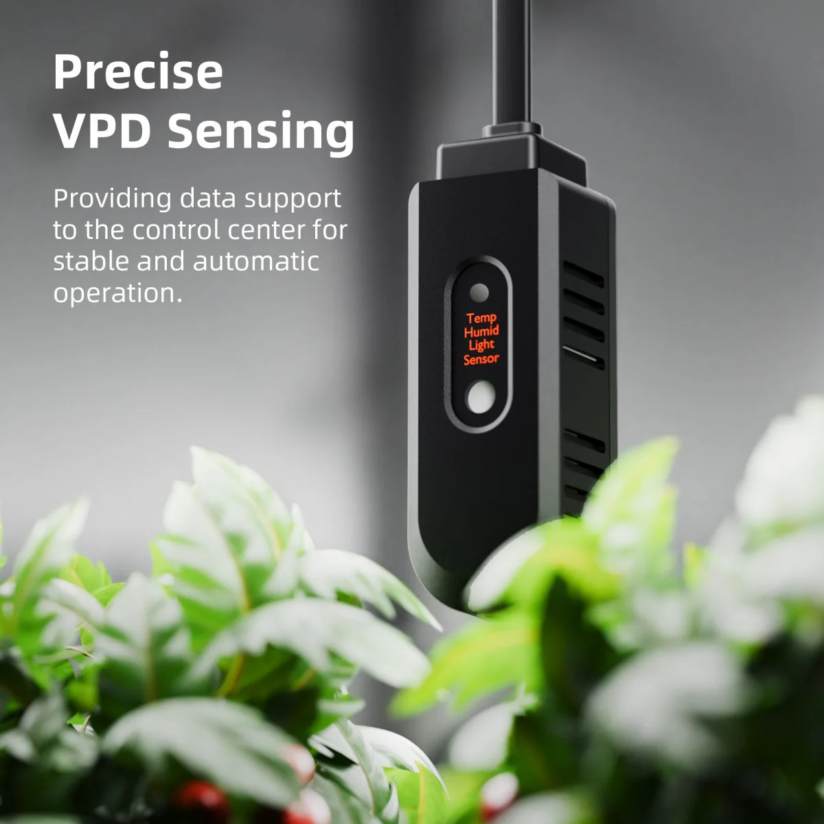Spider Farmer GGS AC5 Power Strip with 5 Outlets for Grow Tent Climate Control, Featuring Temperature, Humidity, VPD Monitoring, Scheduling, Historical Data Tracking, Bluetooth & WiFi Connectivity - Image 7